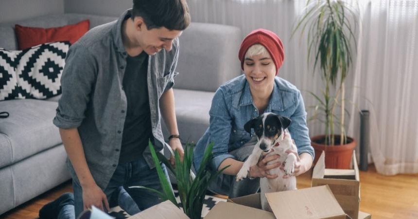 Moving with Pets