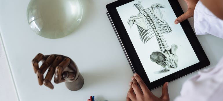 Person studying anatomy