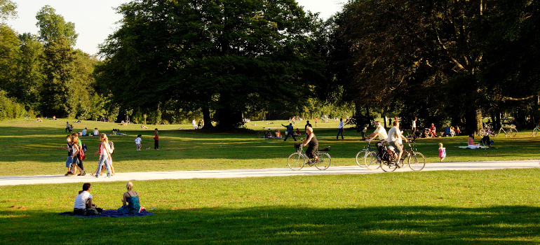 people in the park