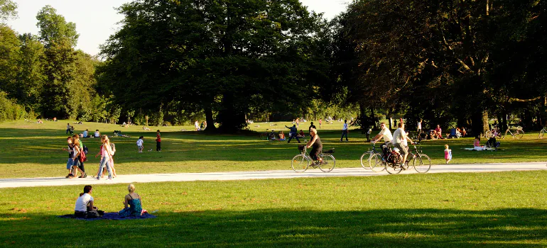 people in the park